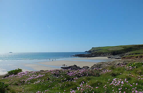 Five comfortable self catering holiday cottages in Cornwall near the north coast beaches of Polzeath, Daymer Bay and Rock